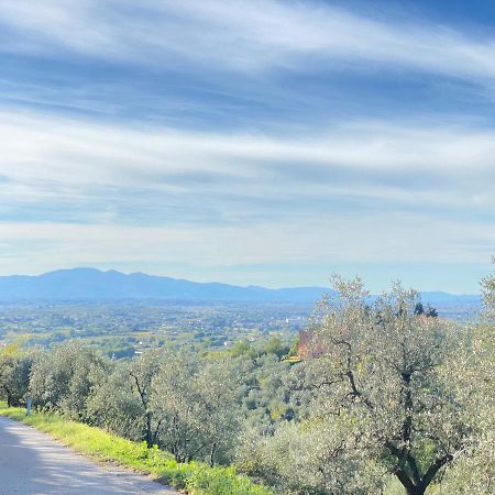 Leonardo Da Vinci - Appartamento Nel Verde Con Parcheggio E Wi-Fi المظهر الخارجي الصورة