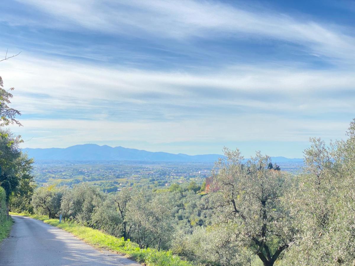 Leonardo Da Vinci - Appartamento Nel Verde Con Parcheggio E Wi-Fi المظهر الخارجي الصورة